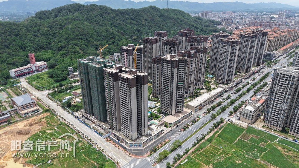 DJI_20250620130001_0146_D_F.JPG